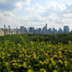 Illustration for article titled Submit your pre-432 Park photos!